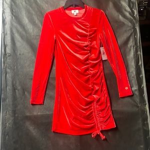 NEW Juicy Couture Velour Dress! Size Medium